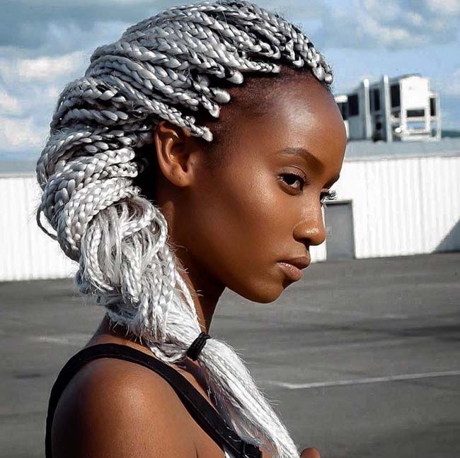 stylish_box_braids_hairstyles_braided_box_braids3