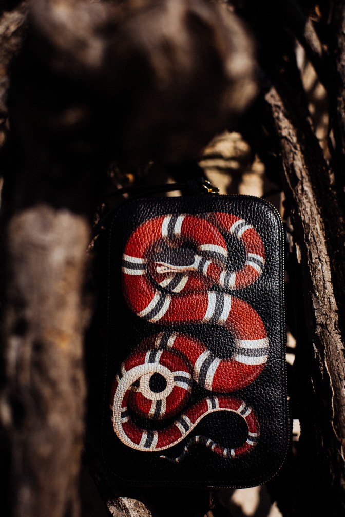 Gucci-Cruise-4-Snake