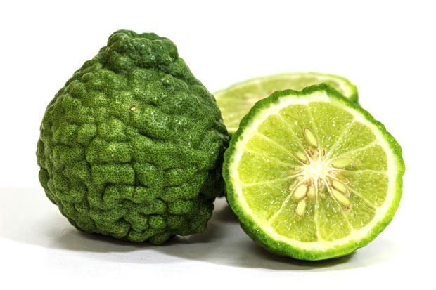 getty-518202265-bergamot-sirichai-raksue